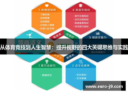 从体育竞技到人生智慧：提升视野的四大关键思维与实践