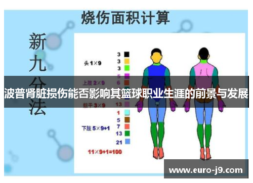 波普肾脏损伤能否影响其篮球职业生涯的前景与发展