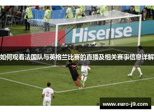如何观看法国队与英格兰比赛的直播及相关赛事信息详解